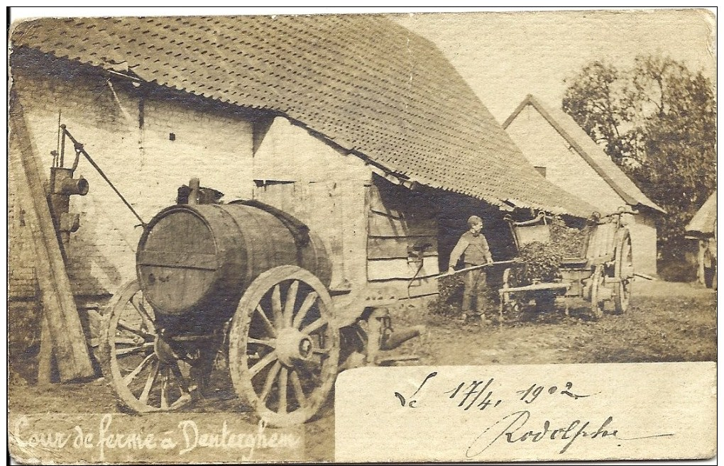 DENTERGEM - Cour De Ferma à Denterghem - Fotokaart - Dentergem