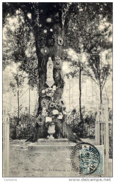 78 - VIROFLAY - Le Chêne De La Vierge - (arbre Remarquable) - Viroflay