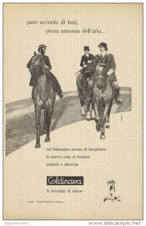 # LAVANDA COLDINAVA NIGGI IMPERIA 1950s Advert Pubblicità Publicitè Reklame Perfume Parfum Profumo Horse - Non Classés