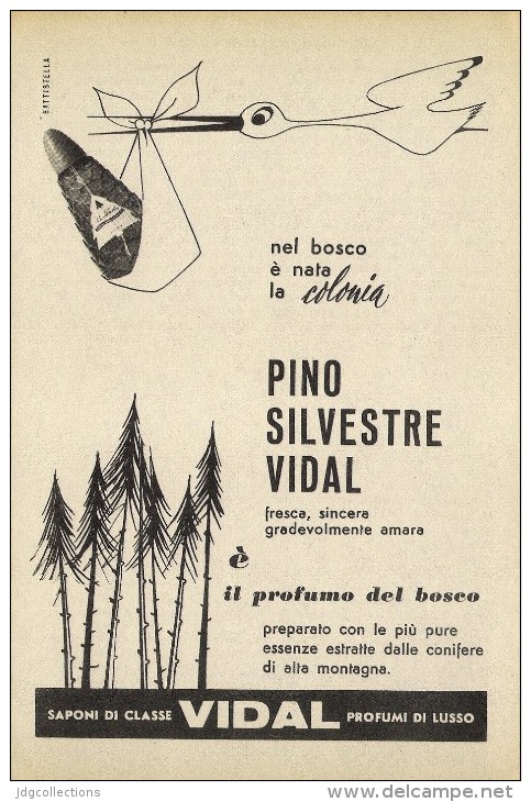 # COLONIA PINO SILVESTRE VIDAL 1950s Advert Pubblicità Publicitè Reklame Perfume Parfum Profumo Cologne Stork - Non Classificati