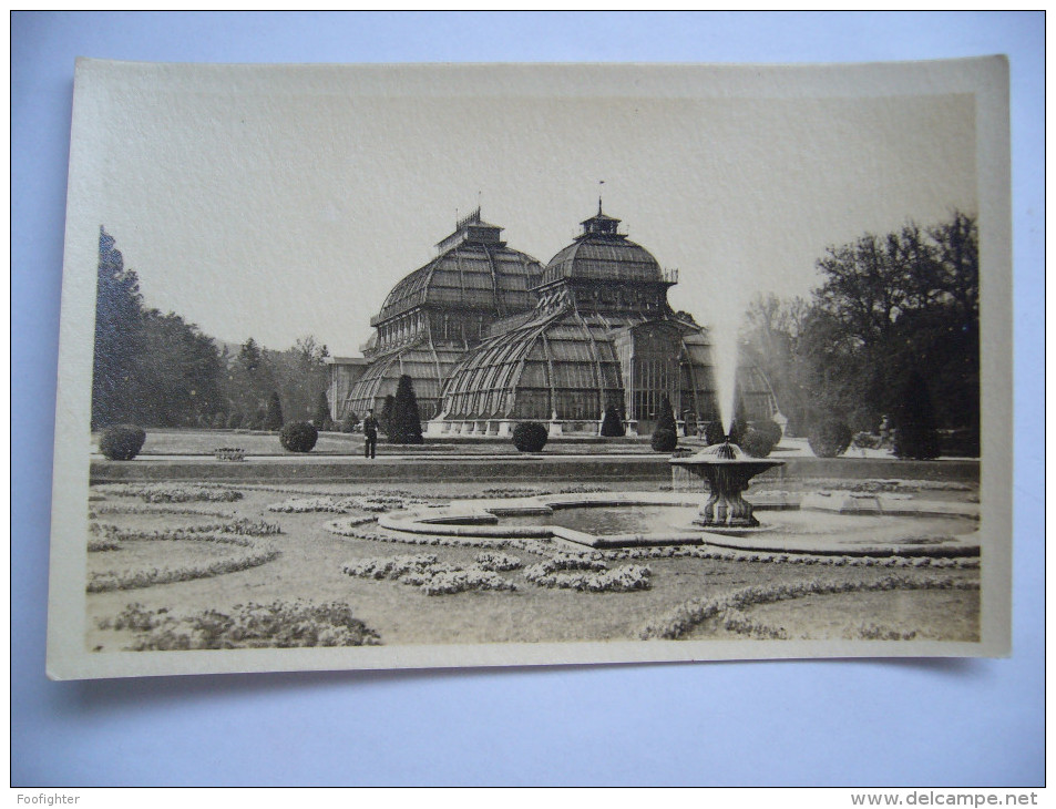 Austria: Wien - Schönbrunn - Palmenhaus - 1913 Unused - Château De Schönbrunn