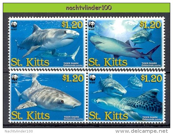 Nbj403s WWF FAUNA ´VISSEN FISH FISCHE´ HAAI TIGER SHARK TIGERHAI MARINE LIFE ST.KITTS 2007 PF/MNH - Colecciones & Series