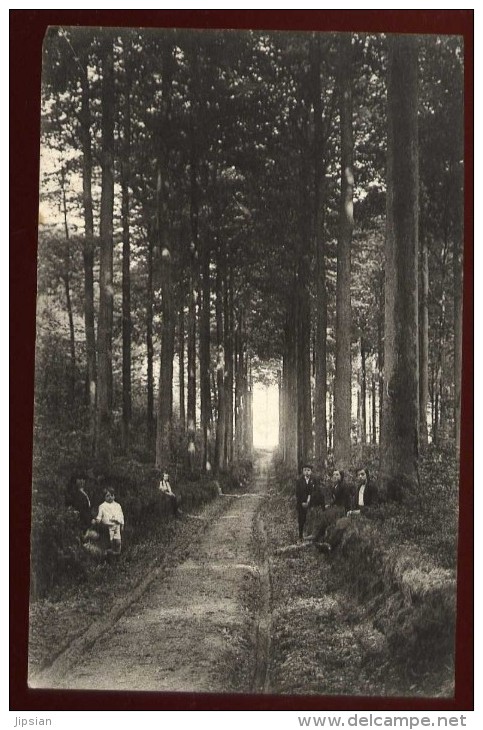 Cpa  De   Belgique Linkebeek   Drève Dans Le Bois De Cléty  EE15 - Linkebeek