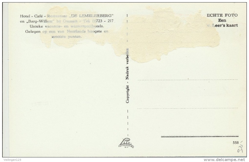 Lemelerberg - Natuurschoon Juniperus (AAM-375 - Sonstige & Ohne Zuordnung