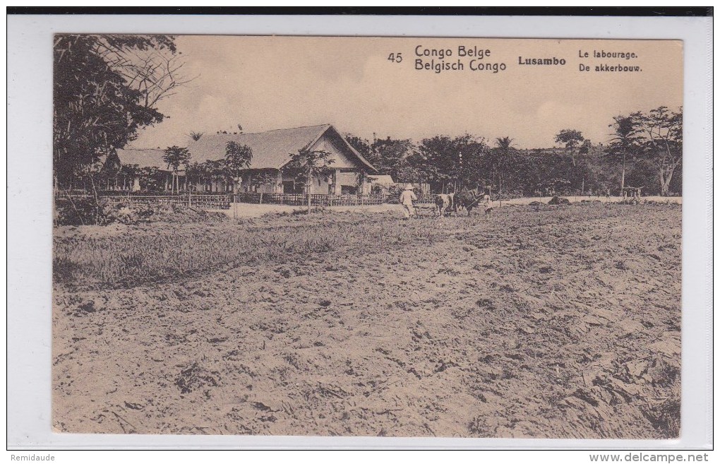 1914 - CONGO BELGE - CARTE POSTALE ENTIER De MATADI Pour BRUXELLES - Interi Postali