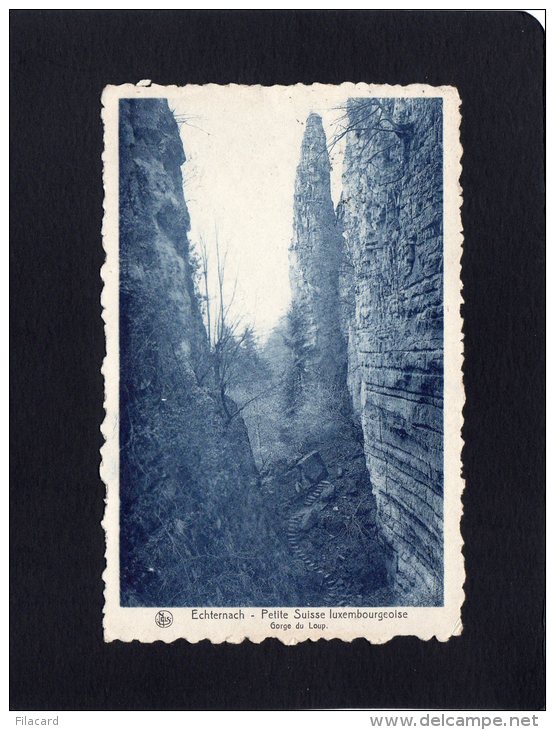 46110   Lussemburgo,  Echternach,  Petite  Suisse  Luxembourgeoise,  Gorge Du  Loup,  VGSB  1931 - Echternach