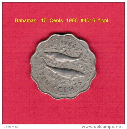 BAHAMAS    10  CENTS  1966  (KM # 4) - Bahama's