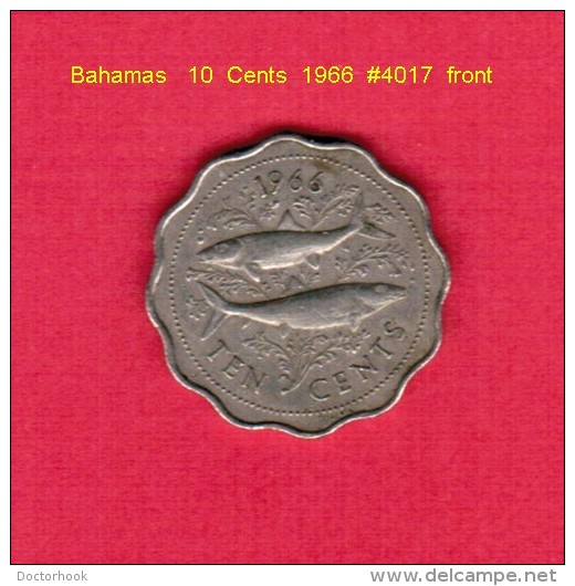 BAHAMAS    10  CENTS  1966  (KM # 4) - Bahama's