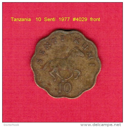 TANZANIA   10  SENTI  1975 (KM # 11) - Tanzanie