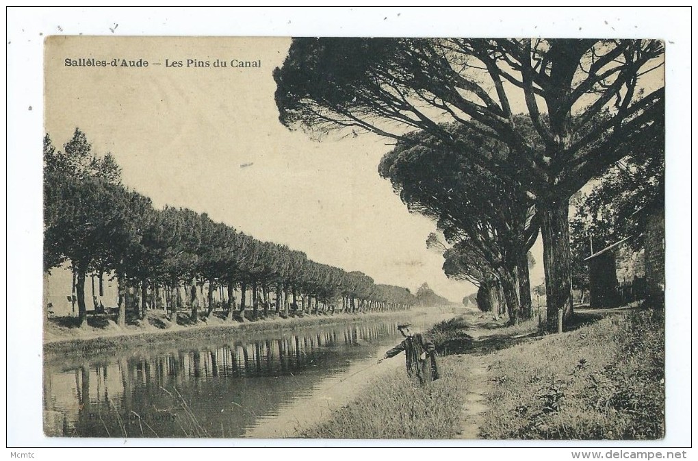 CPA -Sallèles D'Aude - Les Pins Du Canal - Salleles D'Aude