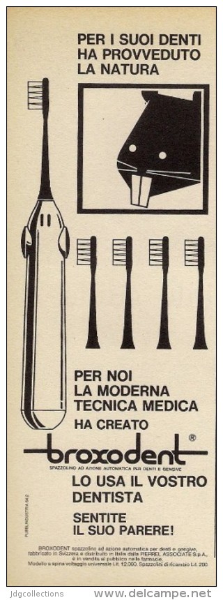# SPAZZOLINO BROXODENT PIERREL 1950s Advert Pubblicità Publicitè Reklame Toothbrush Zahnburst Oral Dental Healthcare - Attrezzature Mediche E Dentistiche