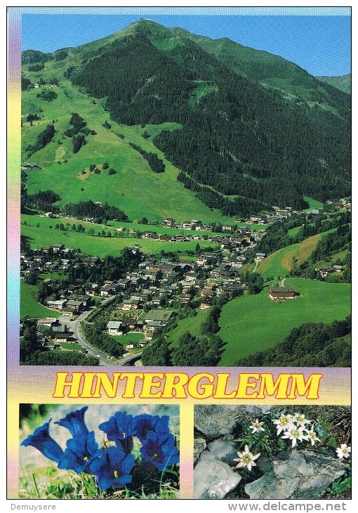 18528 Inmitten Der Kitzbuheler Alpen - Hinterglemm - Saalbach