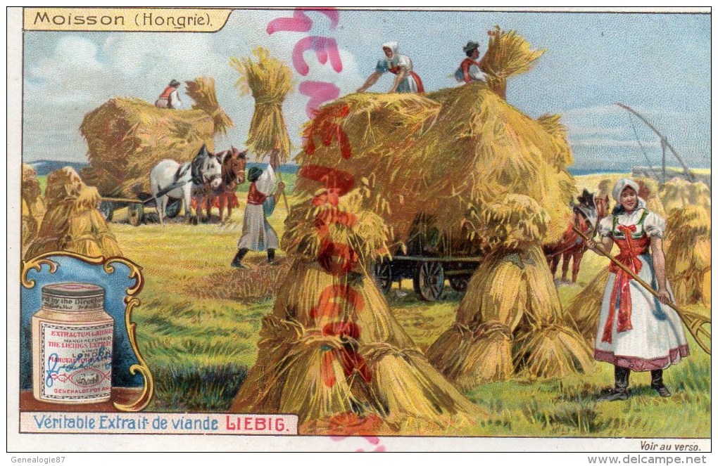 CHROMO LIEBIG - HONGRIE  MOISSON- SCENE DE FERME -AGRICULTURE- FRAY BENTOS URUGUAY- COLON ARGENTINE - Liebig