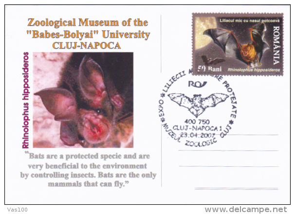 BATS, 2007, SPECIAL POSTCARD, CLUJ NAPOCA, ROMANIA - Fledermäuse