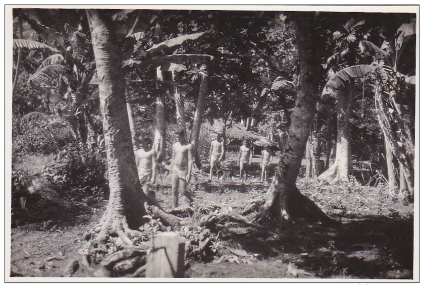 RP: Tahitian Native Boys Walking Amoung Trees, Tahiti, 10-20s - Tahiti