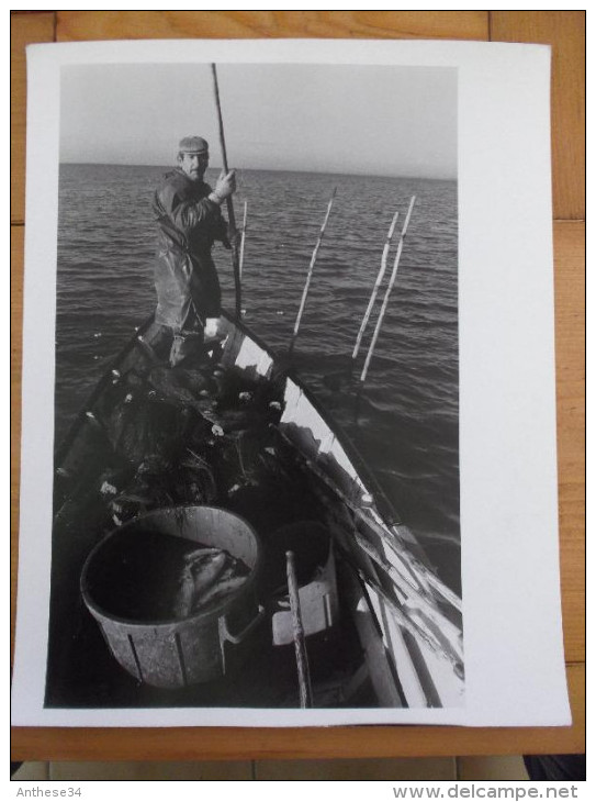 Photo  Camargue Le Grau Du Roi  Aigues Mortes Pêcheur Sur Sa Barque Papier Cartoliné 24 X 30 Cm Années 70 - Luoghi