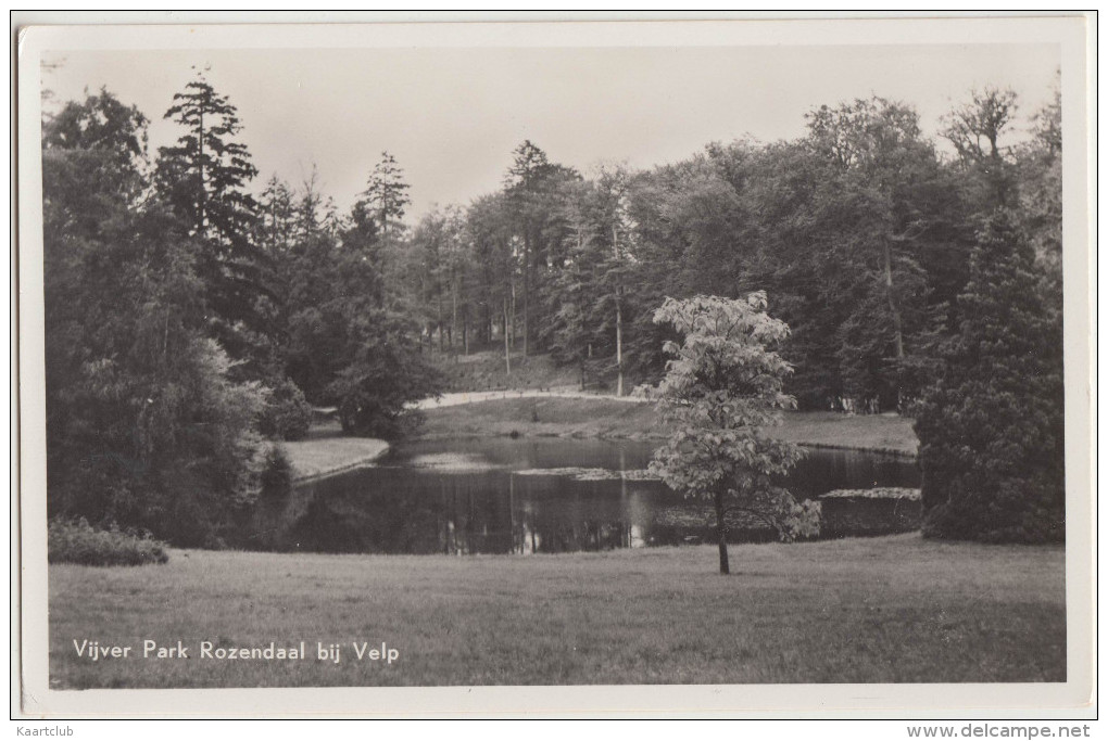 Vijver Park Rozendaal Bij Velp - Gelderland, Nederland/Holland - Velp / Rozendaal