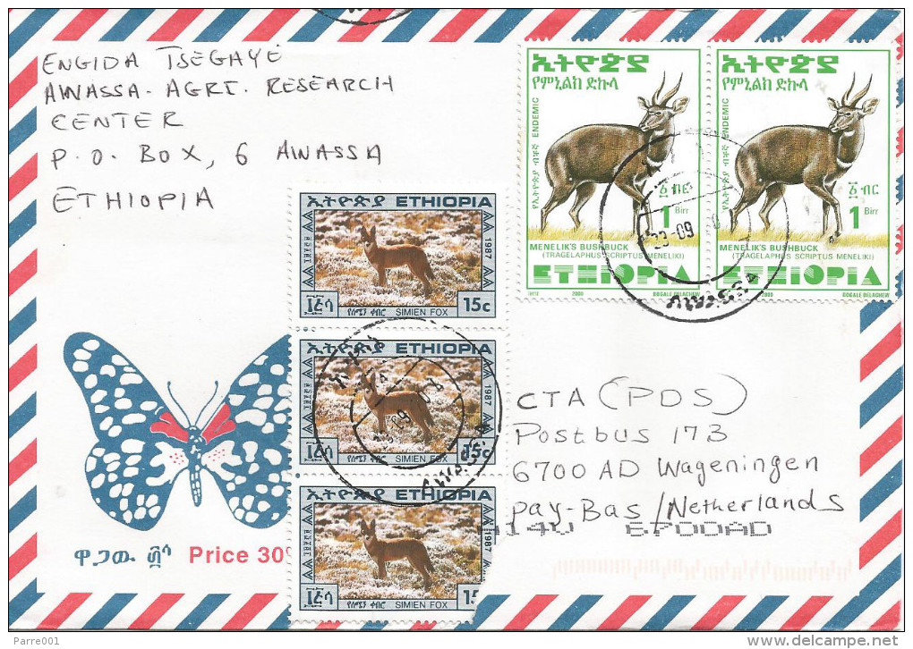 Ethiopia 2004 Awassa A4 Simien Fox Bushbuck Cover - Ethiopië