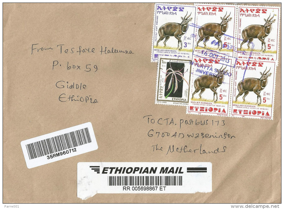 Ethiopia 2013 Wolayta Soddo University Postal Agency Crinum Orchid Flower Bushbuck Barcoded Registered Cover - Ethiopië