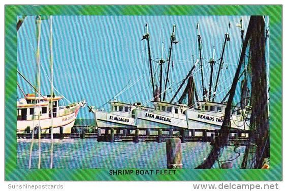 A Typical Shrimp Boat Fleet Seen All Along The Gulf Coast Of Corpus Christi Texas - Corpus Christi