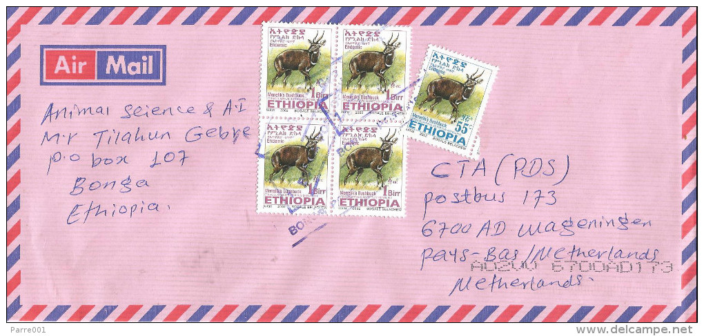 Ethiopia 2012 Bonga Postal Agency Bushbuck Cover - Ethiopië