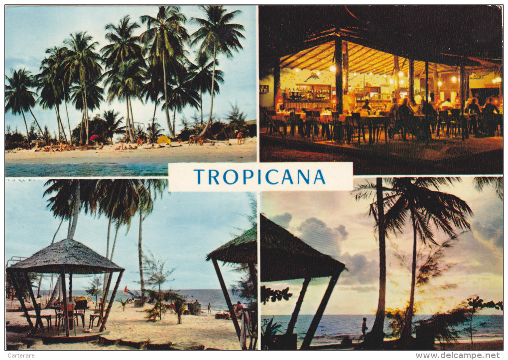 AFRICA,afrique,GABON,LIBREVILLE,HOTEL,TROPICANA,paillotte,restaurant,multivue Ancienne - Gabun