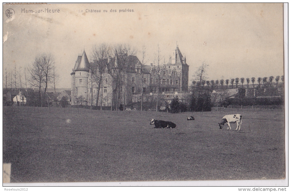 HAM-SUR-HEURE : Le Château Vu Des Prairies - Ham-sur-Heure-Nalinnes