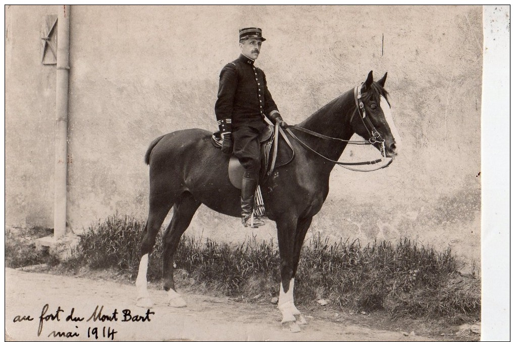 UNPOSTED POSTCARD - 1914- PICTURE OF AN UNKNOWN SOLDIER ON A HORSE  [ FRENCH ] ?? - Personaggi