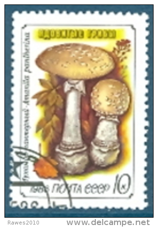 UdSSR 1986 Mi. 5604 -5607 Gest. Pilze Giftig - Pilze