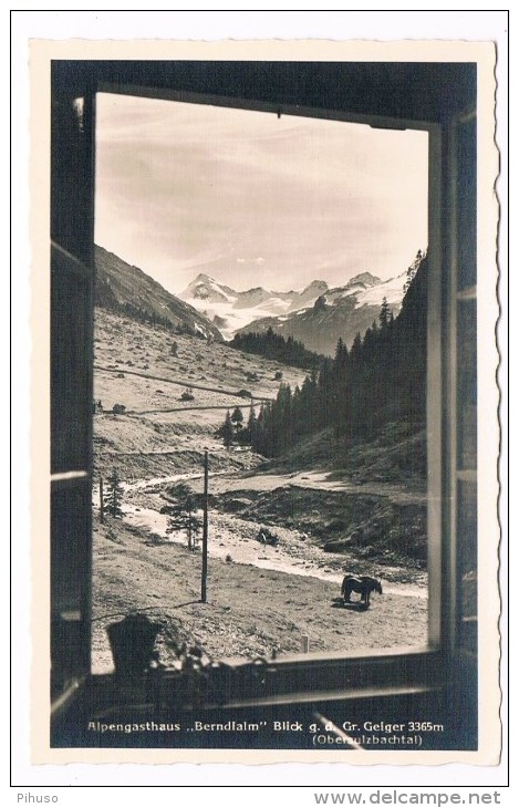 Ö-1843   OBERSULZBACHTAL : Alpengasthaus Berndalm - Neukirchen Am Grossvenediger