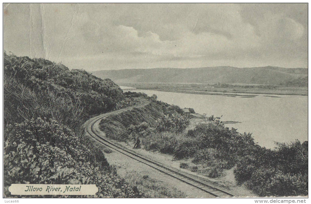 1900 CIRCA ILLOVO RIVER NATAL - Afrique Du Sud