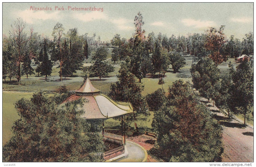 1900 CIRCA - PIETERMARITZBURG ALEXANDRA PARK - Afrique Du Sud