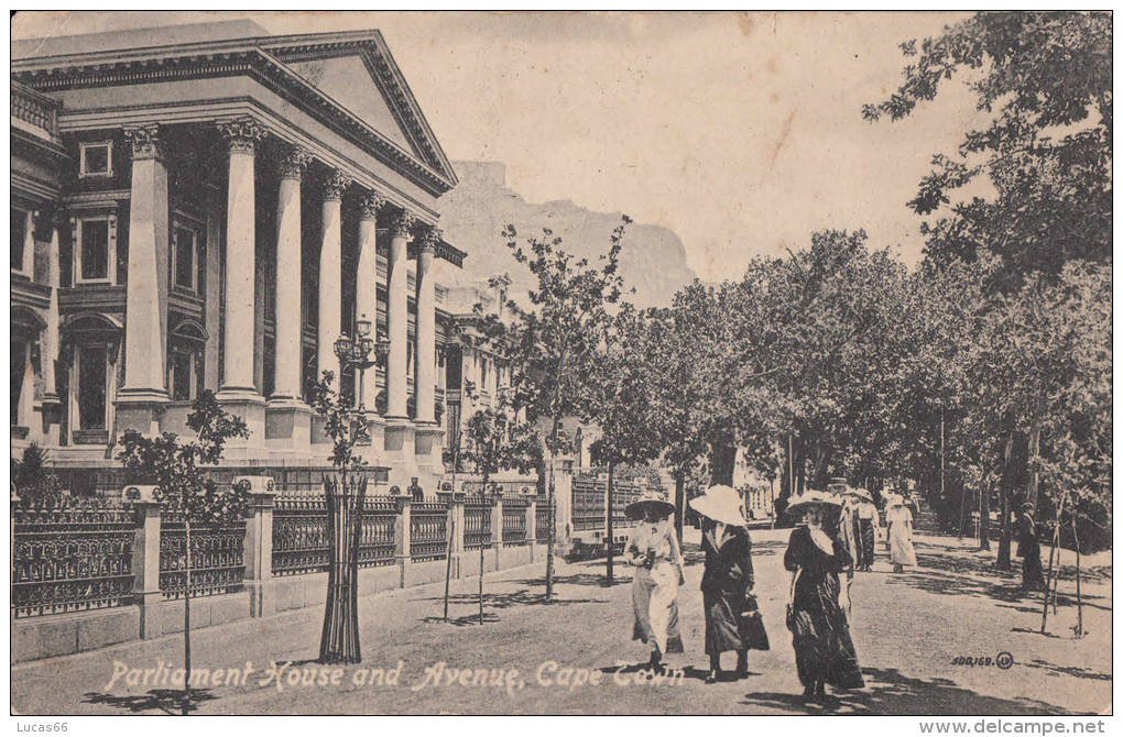 1900 CIRCA - CAPE TOWN PARLIAMENT HOUSE AND AVENUE - Afrique Du Sud