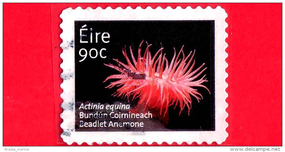 IRLANDA - EIRE - 2013 - Fiori - Fleurs - Flowerrs - Beadlet Anemone (Actinia Equina) - 90 - Oblitérés