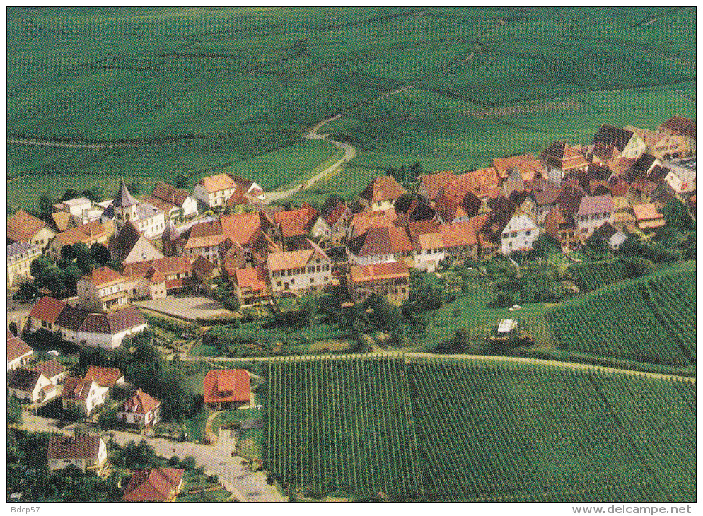 68 - Haut-Rhin - ZELLENBERG - Vue Aérienne - Eglise Saint-Ulrich  - Format 10,5 X 15 - Edira - KATZENTHAL - Other & Unclassified