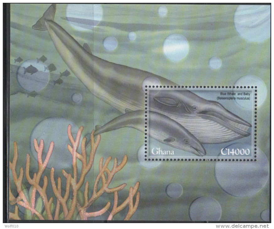 Ghana. Blue Whale. 2001. MNH SS. SCV = 6.50 - Whales