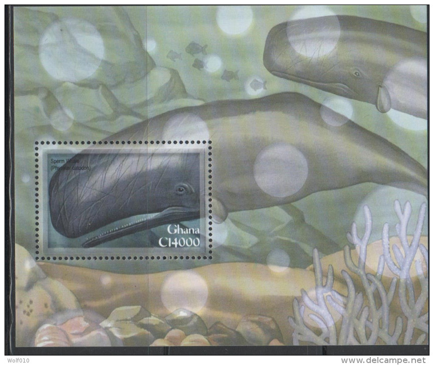Ghana. Sperm Whale. 2001. MNH SS. SCV = 6.50 - Wale
