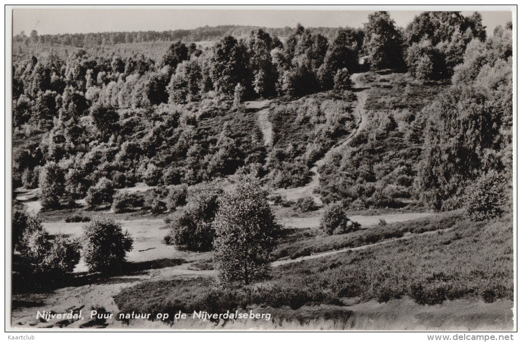 Nunspeet - Puur Natuur Op De Nijverdalseberg - (1965)    - Gelderland - Holland/Nederland - Nunspeet