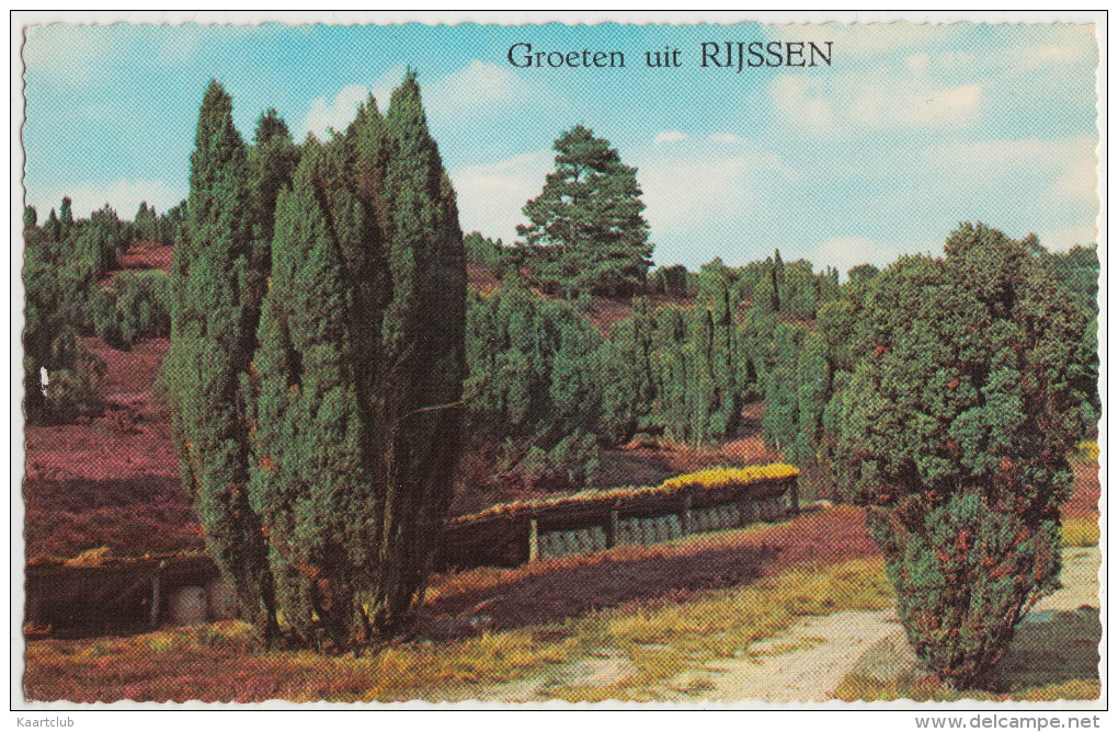 Groeten Uit Rijssen   - Overijssel - Holland/Nederland - Rijssen