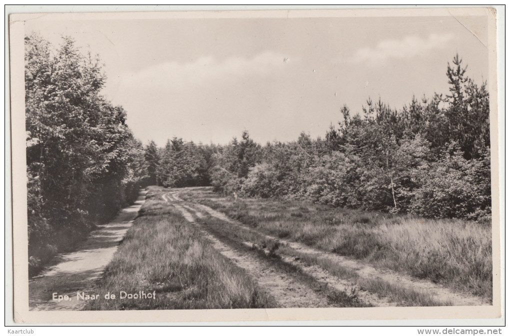 Epe - Naar De Doolhof (1955) - Gelderland - Holland/Nederland - Epe