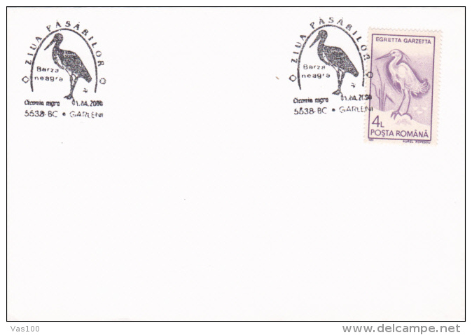 BIRDS DAY, BLACK STORK, 1991, STAMP ON COVER, ROMANIA - Storks & Long-legged Wading Birds