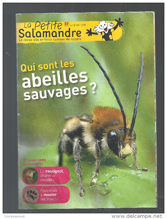 La Petite Salamandre N°57 Avr/Mai 2008 (La Revue Des Enfants Curieux De La Nature) Spécial Qui Sont Les Abeilles Sauvage - Nature