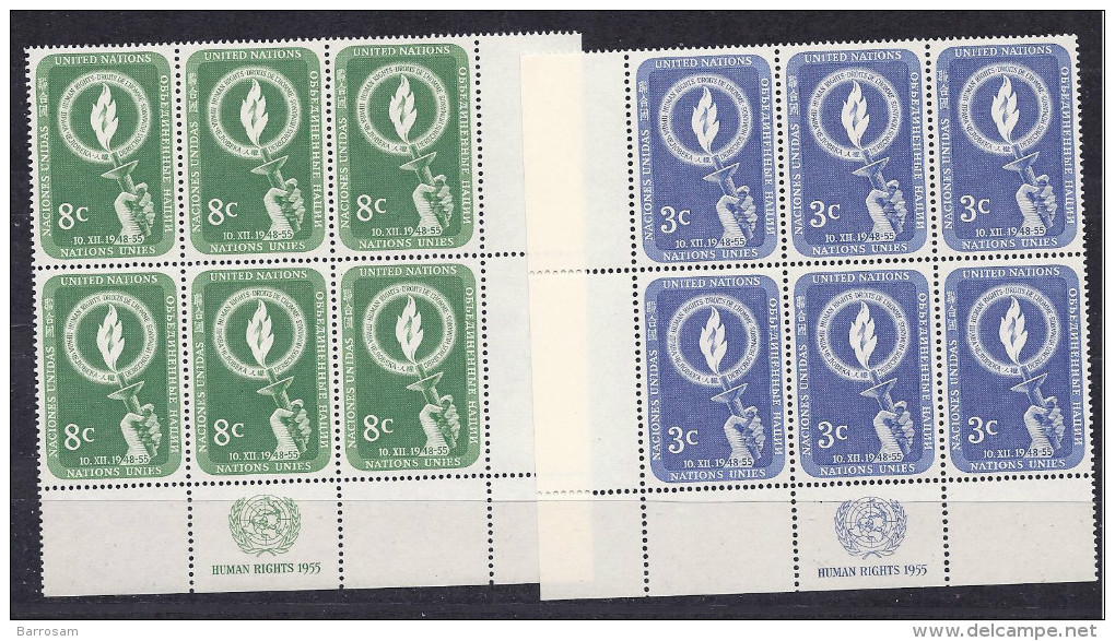 UnitedNations(New York)1955: HUMAN RIGHTS Yvert38-9mnh**Blocks Of 6 - Nuevos