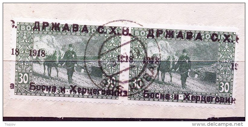 YUGOSLAVIA - JUGOSLAVIA - SHS BOSNIA - ERROR - Moved " 18 " - POSTMAN With Horse - On Piece - 1919 - BOS. KOBAŠ - Used Stamps