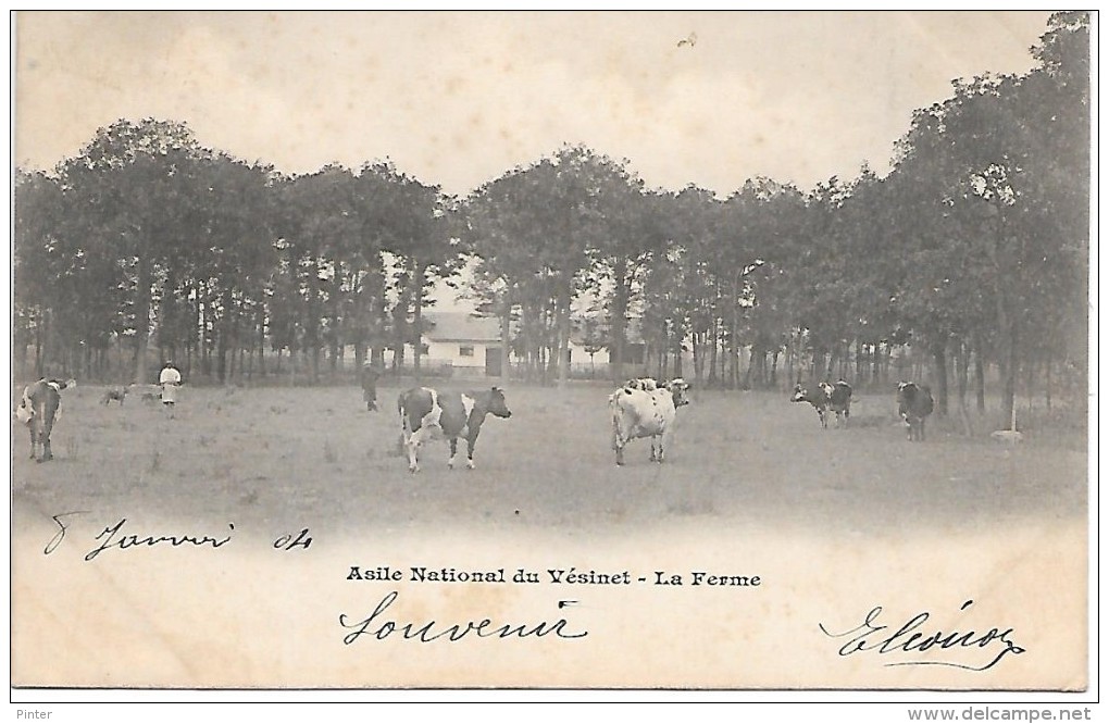 Asile Nationale Du VESINET - La Ferme - Le Vésinet