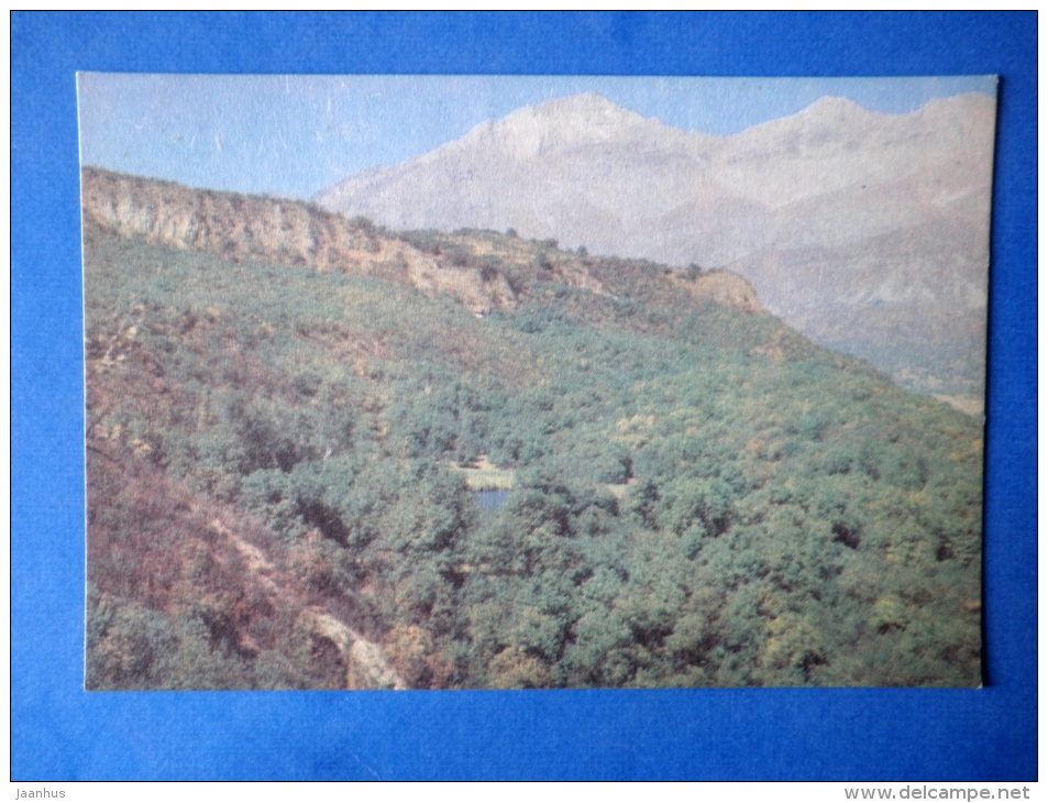 Arslan-Bob - Hazel Thickets - Nature Of Kyrgyzstan - 1969 - Kyrgyzstan USSR - Unused - Kirgizië