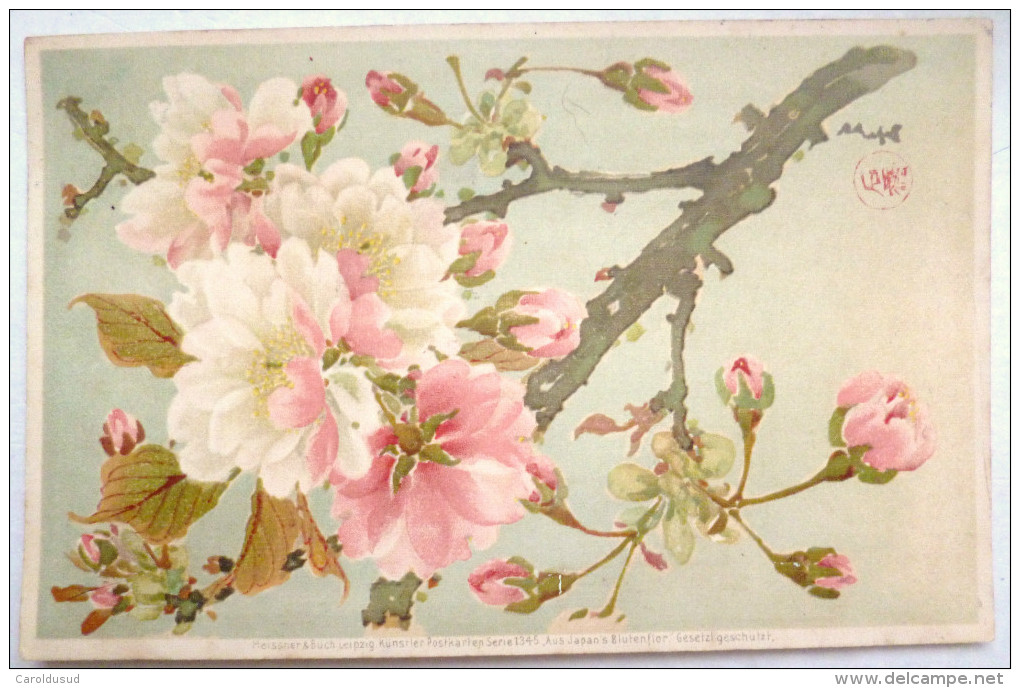 CPA PRECURSEUR Litho Illustrateur MEISSNER BUCH JAPAN S BLUTENFLOR  Fleur BRANCHE Cerisier Japonais Estampe Voyagé 1905 - Busch, Wilhelm