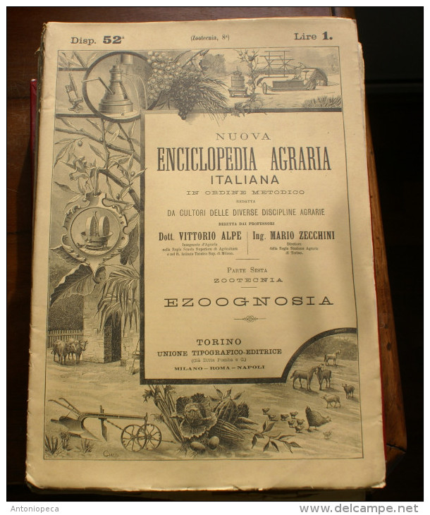 5 FASCICOLI NUOVA ENCICLOPEDIA AGRARIA ITALIANA - EDIZIONI UTET 1928 - Enzyklopädien