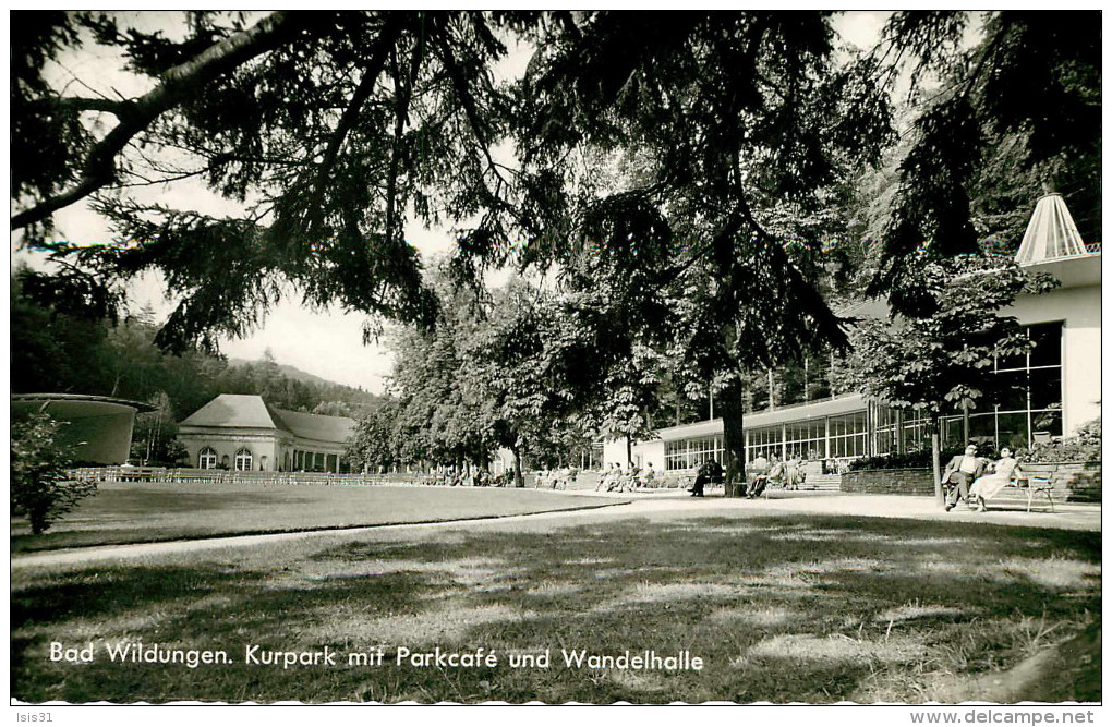 Allemagne - Germany - Hesse - Bad Wildungen - Kurpark Mit Parkcafé Und Wandelhalle - Semi Moderne Petit Format - état - Bad Wildungen