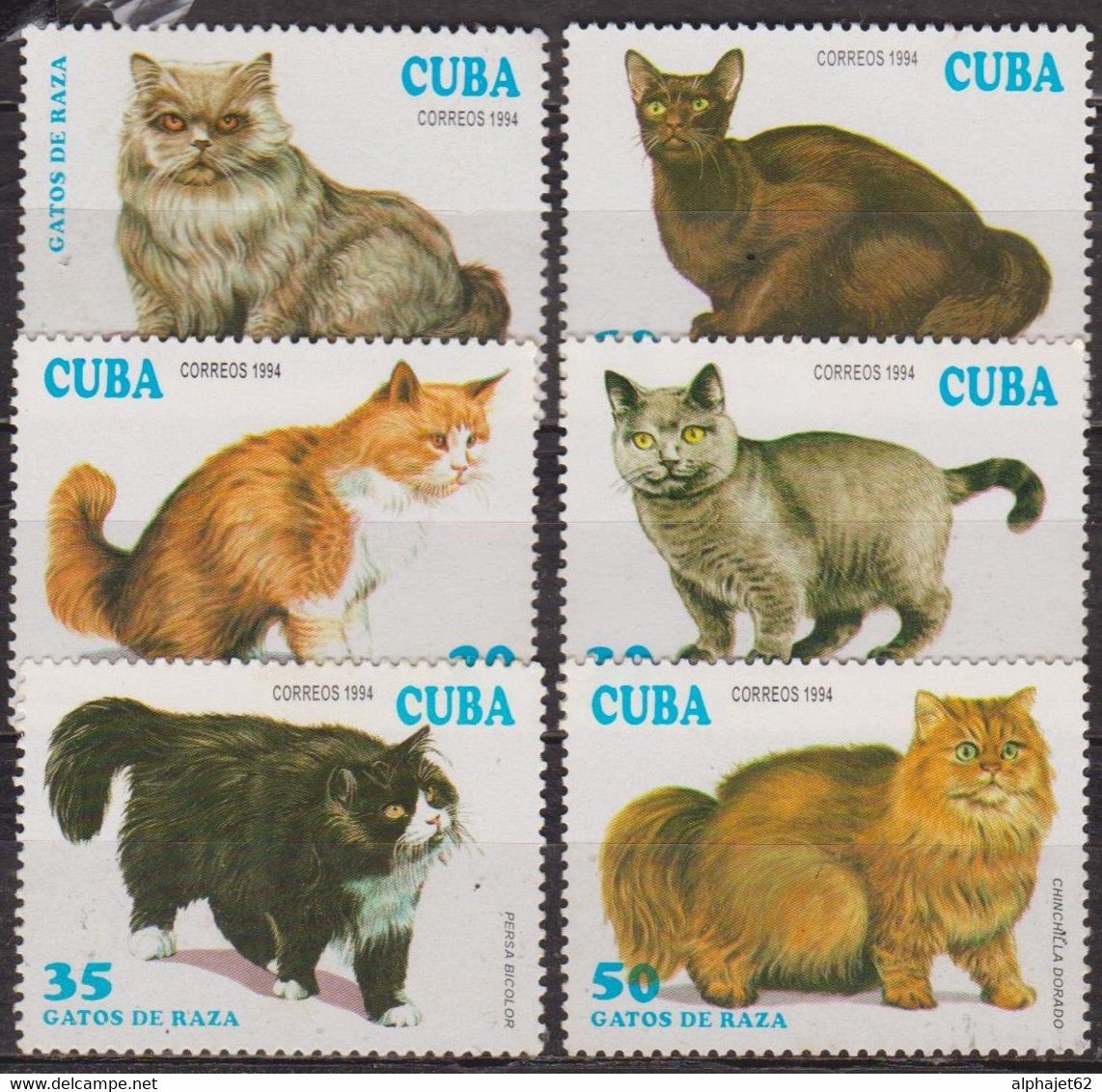 Animaux Domestiques - Chats, Cat, Katze, Faune - CUBA - Persan, Havane, Persan - N° 3351 à 3356 * - 1994 - Unused Stamps